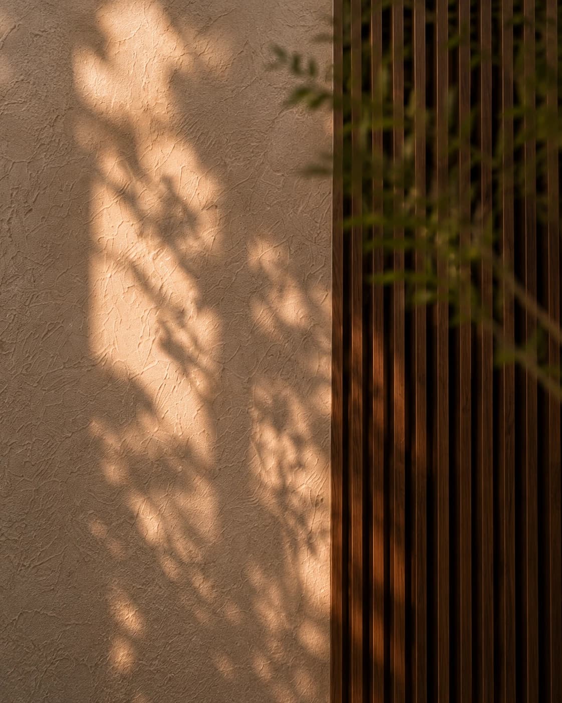 Fluted walnut panelling washed in warm light